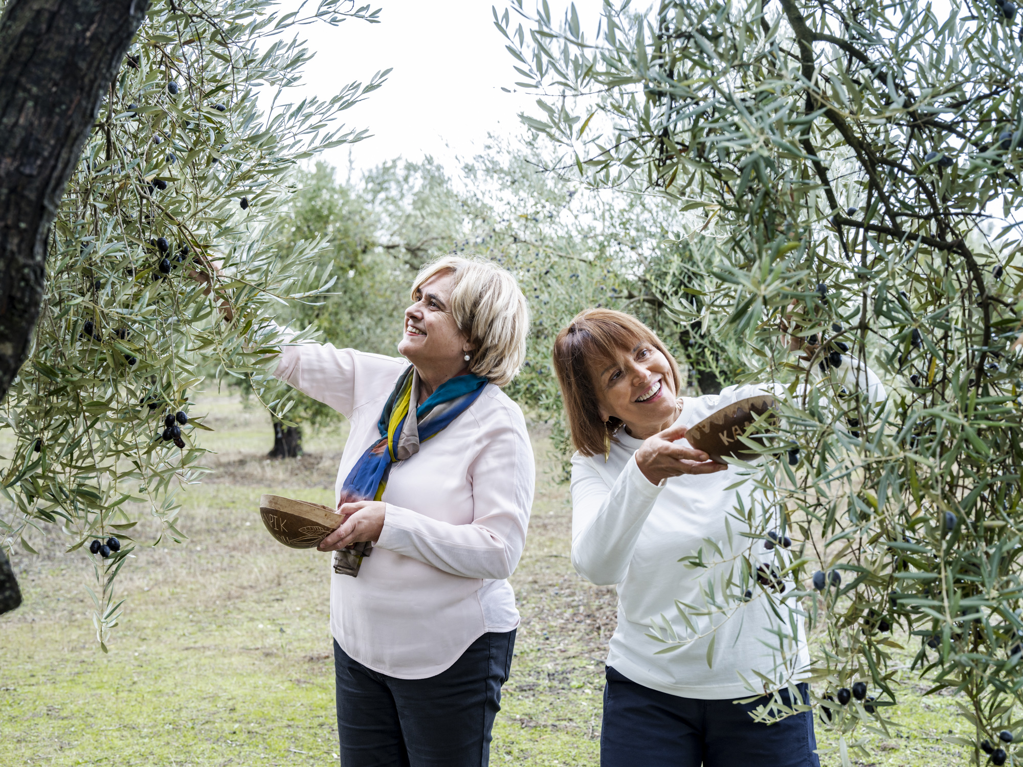 Curso Online: Aceite de Oliva Virgen Extra. Variedades, Cata y Técnicas Culinarias